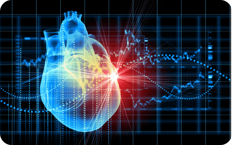 Cardiothoracic Surgery & Vascular Translation